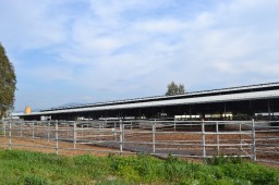 Tesisimizden Görüntüler