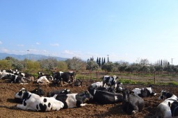 Tesisimizden Görüntüler