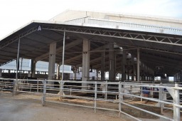 Tesisimizden Görüntüler