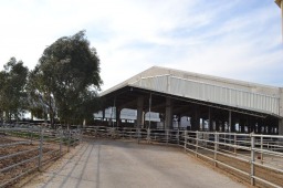 Tesisimizden Görüntüler