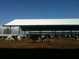 Tesisimizden Görüntüler