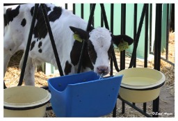 Tesisimizden Görüntüler