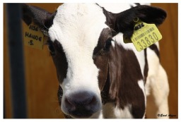 Tesisimizden Görüntüler