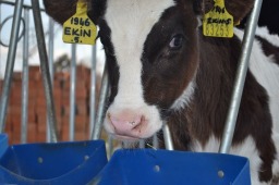 Tesisimizden Görüntüler